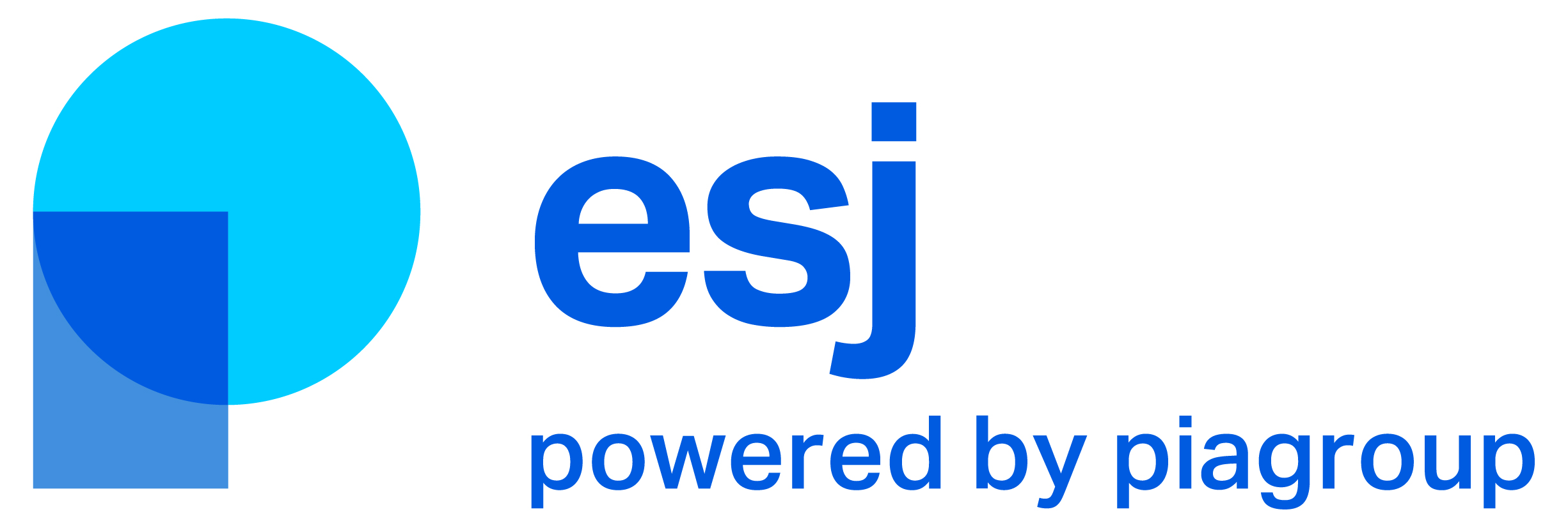 ESJ Financial Engineering